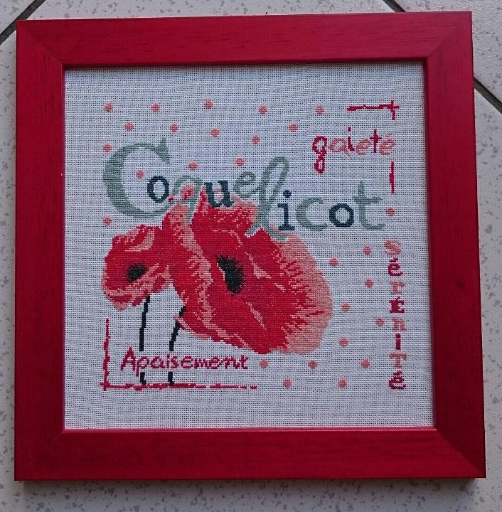 2016_coquelicots.JPG